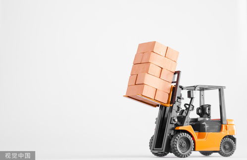 花卉工證怎么考 報名需要符合哪些條件要求