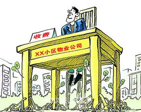 合肥物管新規(guī)元旦起實行 前期物業(yè)競聘更規(guī)范