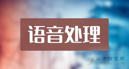 語音處理板塊上市公司名單是這兩只 2024 8 17