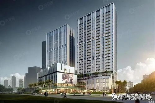 為何被眾說紛紜 深圳 為何這么火爆 專業人士是這樣說的